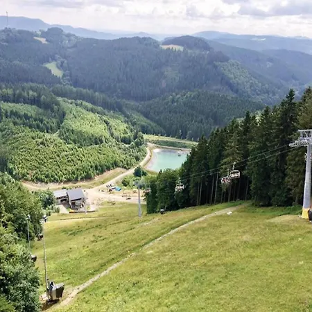 Daire One-bedroom In Winterberg-altastenber *